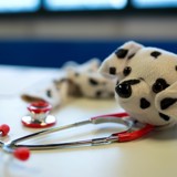 Bamsehospitalet besøger SALTO