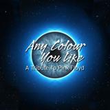 Any Colour You Like Part ll - Pink Floyd Tribute 